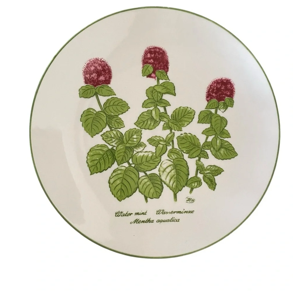 Bareuther Waldsassen Bavaria Botanic Flower berries 142 Salad Plates green trim